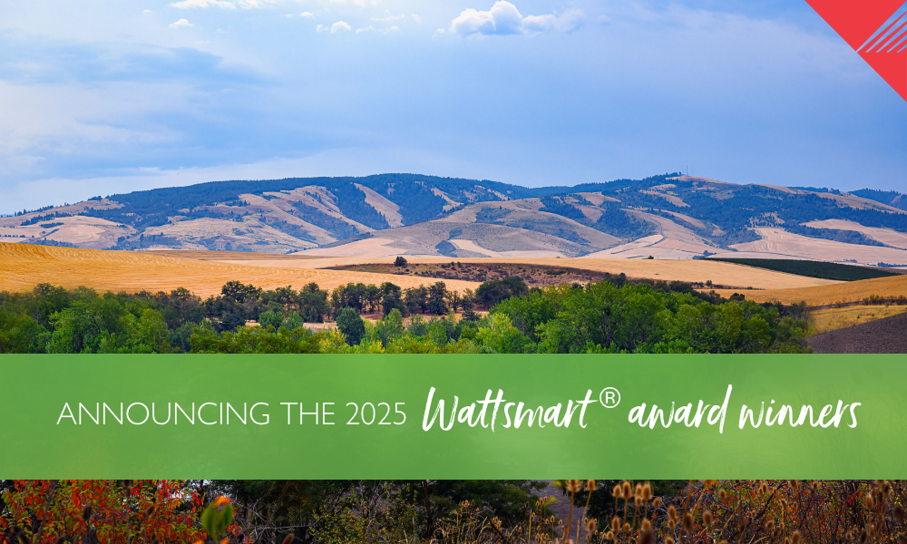 Announcing the 2025 Wattsmart® Award Winners!